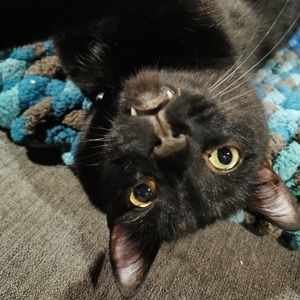 Meet your Posher, Christina